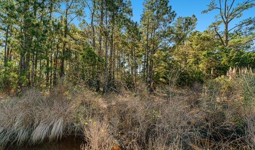 Waterfront vacant lot in Stacy