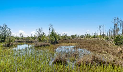 Waterfront vacant lot in Stacy