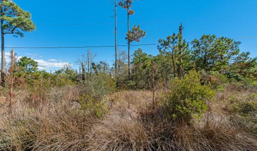 Waterfront vacant lot in Stacy
