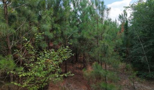 08-Photo 8