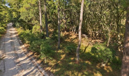 Wooded Lot
