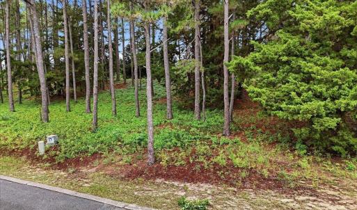 14-Final Drone 4042 Barnes Bluff Dr SE-R