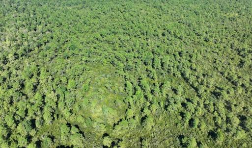 DJI_20260913054758_0817_D