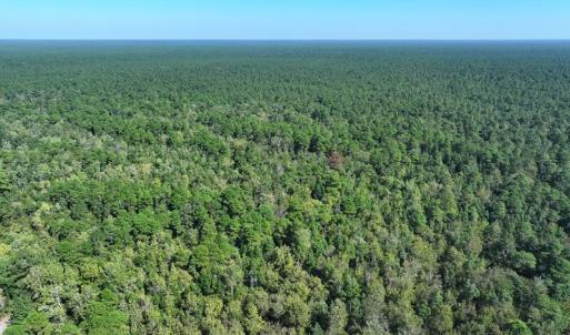 Angola Bay Hunting Land