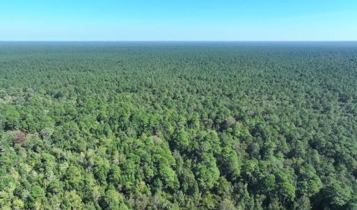 DJI_20260913054659_0813_D
