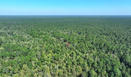 DJI_20260913054655_0812_D