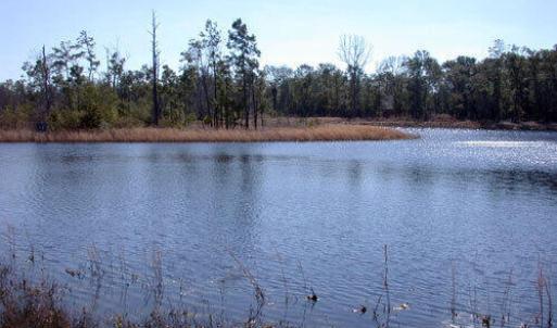 LeffLotLake