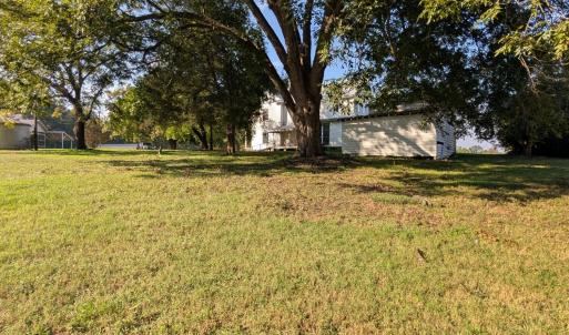 Mature Pecan trees on property