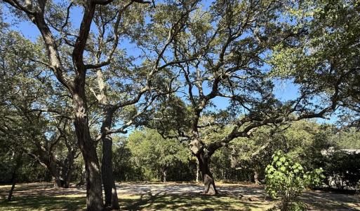 129CapeFearDr1