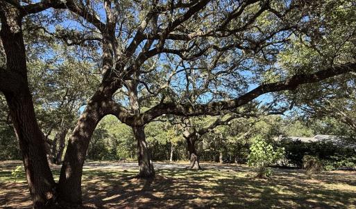 129CapeFearDr