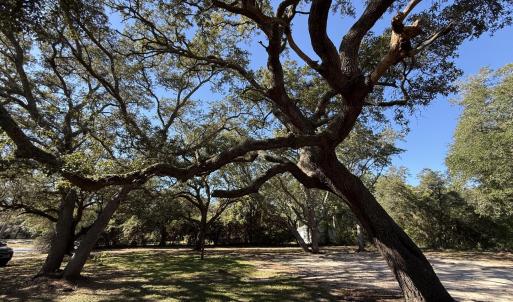129CapeFeardr5