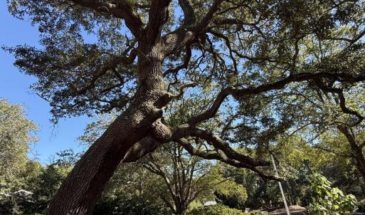 129CapeFeardr7