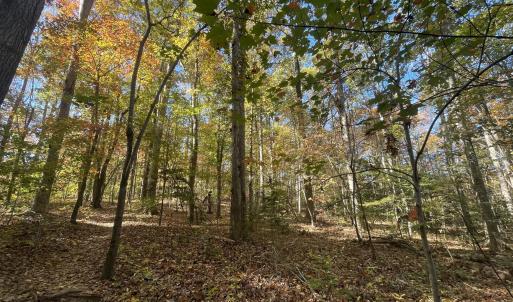 5021 Griffin Farm Ln- 046 - Copy