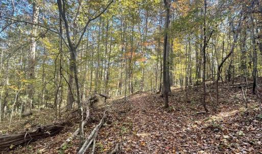 5021 Griffin Farm Ln- 060 - Copy