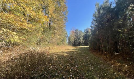 5021 Griffin Farm Ln- 066 - Copy