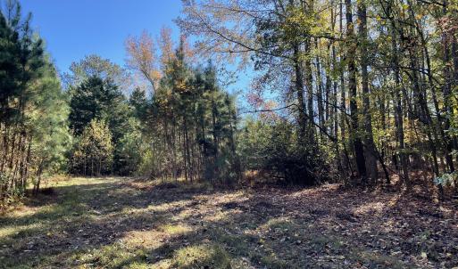 5021 Griffin Farm Ln- 067 - Copy