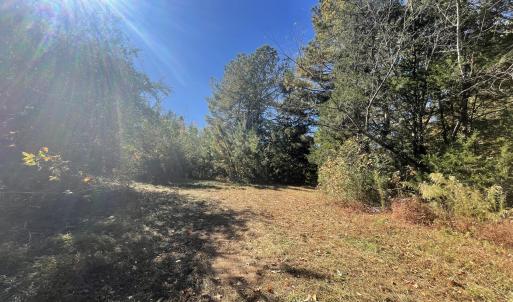5021 Griffin Farm Ln- 084 - Copy