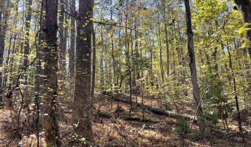 5021 Griffin Farm Ln- 088 - Copy