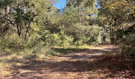 5021 Griffin Farm Ln- 071 - Copy