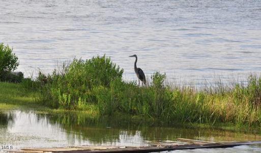 River_bend_New_Bern_Homes_for_Sale