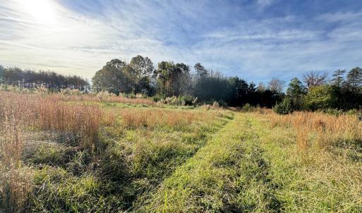 Field4