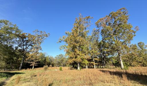 Field1