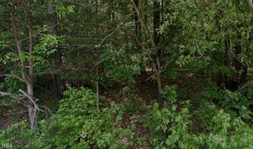 Screenshot 2024-11-12 at 11.41.26AM