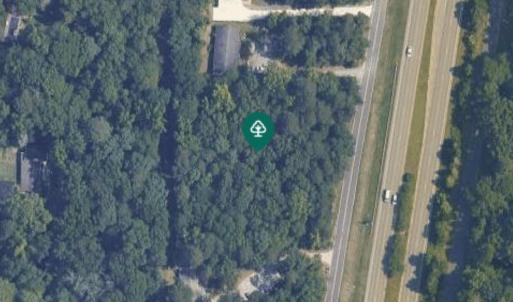 Screenshot 2024-11-12 at 11.40.15AM