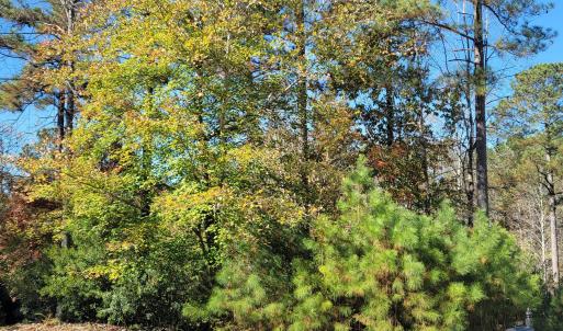 149 Brandy Mill