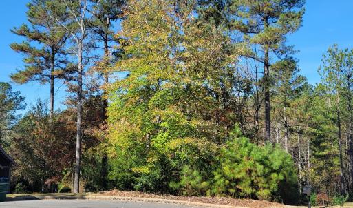 149 Brandy Mill