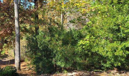 149 Brandy Mill