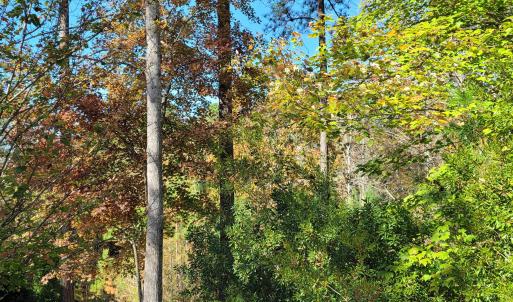 149 Brandy Mill