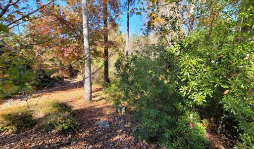 149 Brandy Mill
