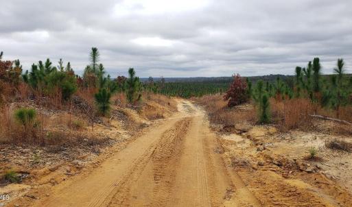 7lk.clay.rd