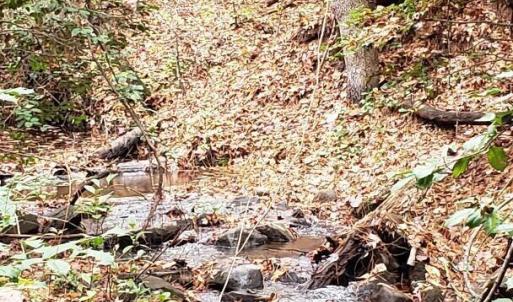 7Lk.sandhill.stream2.new