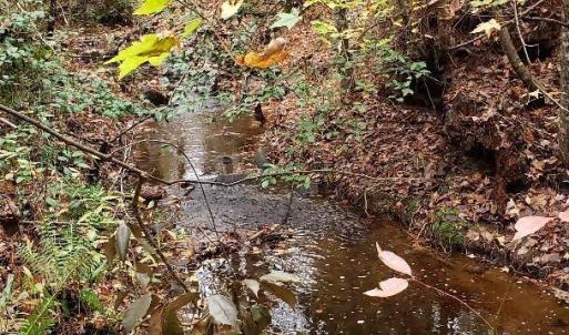 7Lk.sandhill.stream.new