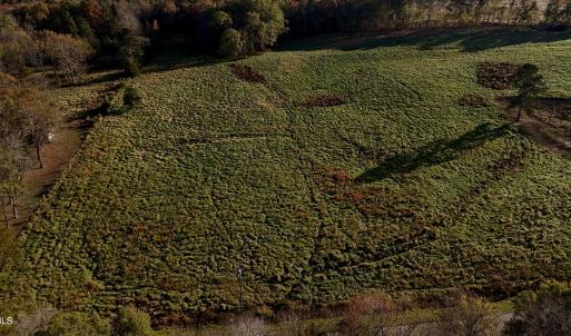 Copy of dji_fly_20241113_153522_0423_173