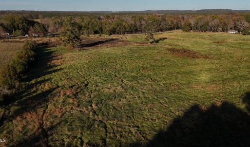 Copy of dji_fly_20241113_152736_0415_173