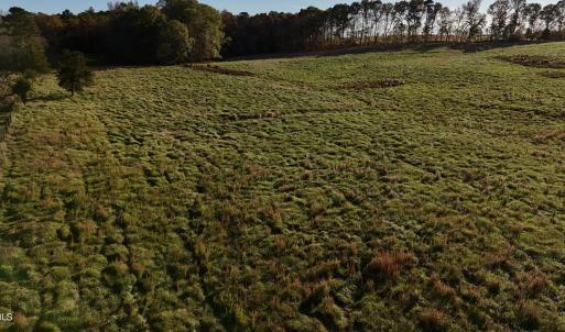Copy of dji_fly_20241113_152514_0410_173