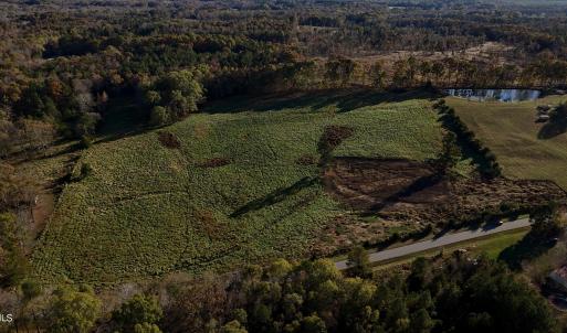 Copy of dji_fly_20241113_152348_0409_173