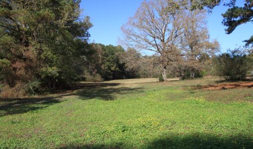 Pastures