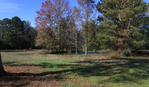 Pond