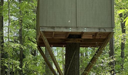 Tree House