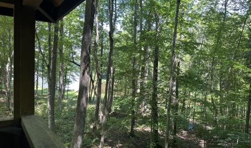 View from Treehouse