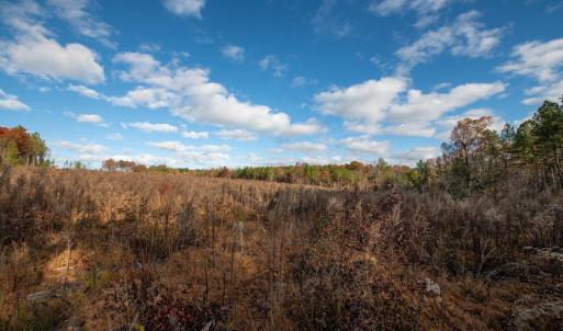 Cleetwood MLS PICS-6193