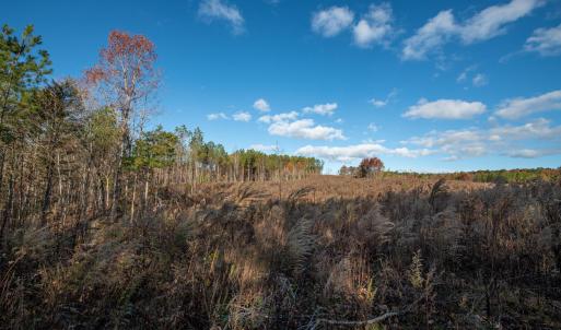Cleetwood MLS PICS-6204