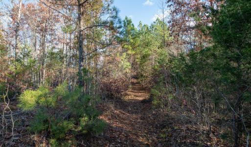Cleetwood MLS PICS-6213