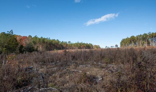 Cleetwood MLS PICS-6238