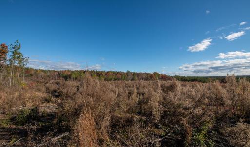 Cleetwood MLS PICS-6253
