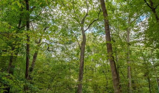 3946 Nottaway Rd-8